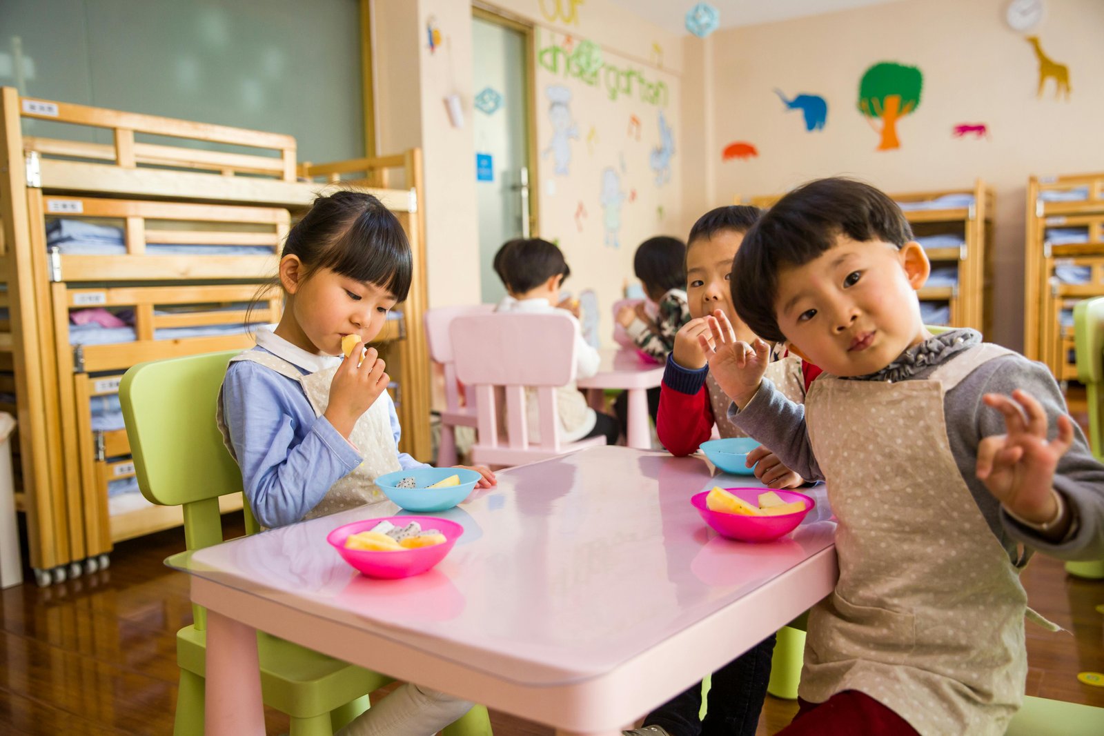 Educational Website Design for Schools